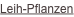 shapeimage_1_link_8