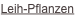shapeimage_1_link_8
