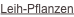 shapeimage_4_link_8